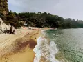 Playa de Santa Maria de Llorell con rocas, pinos y gente disfrutando del sol y el mar.