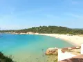 Vista panorámica de la platja de Castell, con aguas turquesas cristalinas y una playa de arena dorada bordeada de pinos.