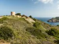 La torre de Montgó se alza sobre una colina verde, vigilando el mar azul y una bahía rocosa.