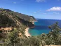 Vista panorámica de la cala del senyor ramon, con aguas turquesas y vegetación exuberante en las laderas.