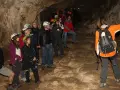 Grupo de exploradores con cascos y linternas en la cueva del oso, observando formaciones rocosas.