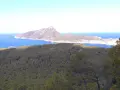 Vista desde el mirador Sant Elm: mar azul intenso, una isla montañosa y un bosque frondoso.