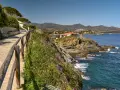 Un sendero de piedra bordea la costa, con flores silvestres y un mar azul. El cami de ronda costa brava ofrece vistas espectaculares.