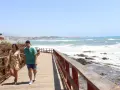 Pareja paseando por un sendero de madera con vistas al mar y la costa de Mijas. ¡Un lugar ideal que ver en Mijas Costa!