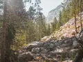 Sendero rocoso entre pinos, con una marca roja en una roca que indica el ibón de Plan.