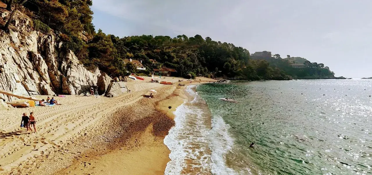 Playa de Santa Maria de Llorell con rocas, pinos y gente disfrutando del sol y el mar.