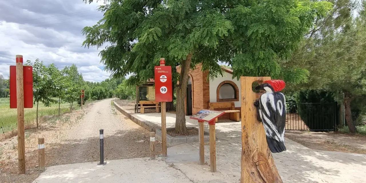 Escultura de pájaro carpintero en la ruta de Ferreruela de Huerva. Señalización informativa y camino de tierra.