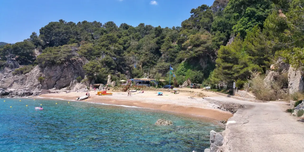 Aguas cristalinas y arena dorada en Cala d'en Carlos, con un chiringuito y pinos frondosos.