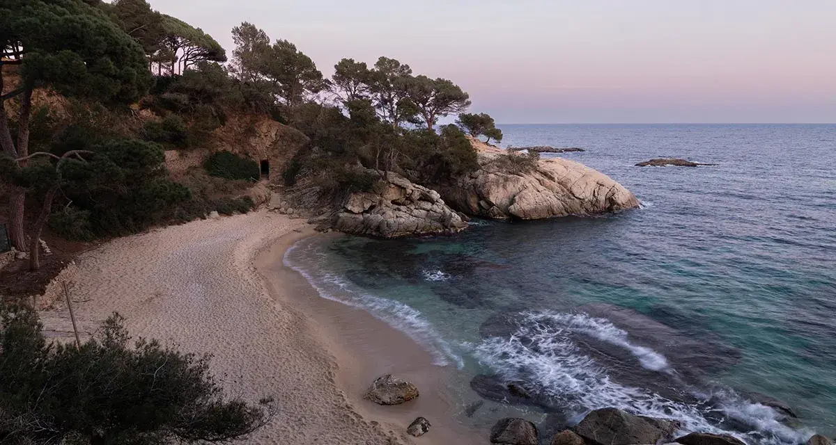 Tranquila cala pi en la Costa Brava, con arena dorada, aguas cristalinas y pinos que bordean la costa rocosa.