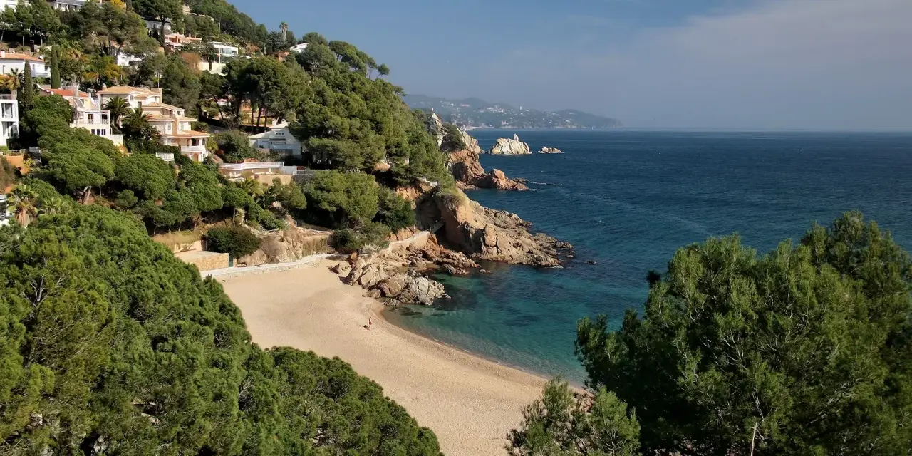 La cala de Sant Francesc, con sus aguas turquesas y arena dorada, se asoma entre pinos y casas blancas en la ladera.
