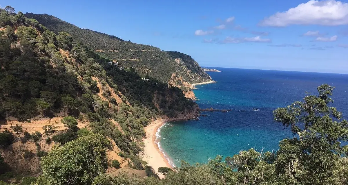 Vista panorámica de la cala del senyor ramon, con aguas turquesas y vegetación exuberante en las laderas.