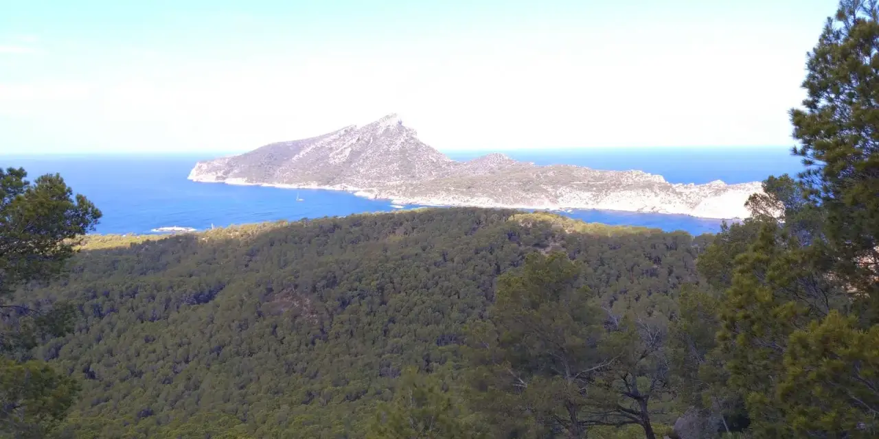 Vista desde el mirador Sant Elm: mar azul intenso, una isla montañosa y un bosque frondoso.
