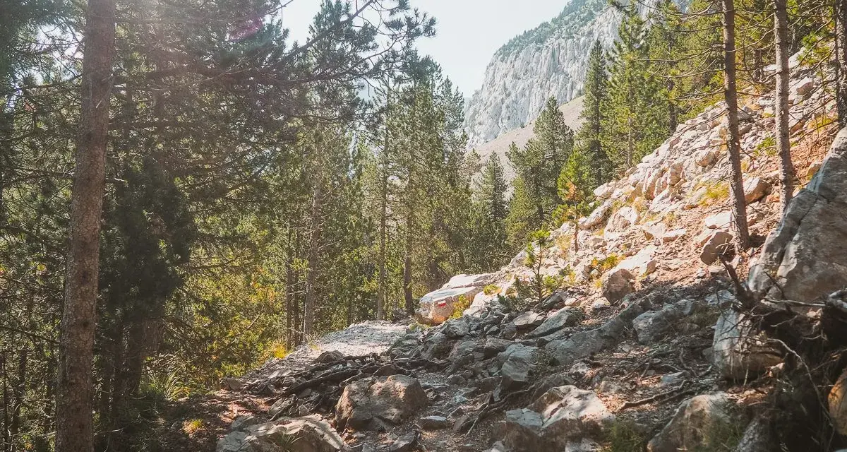 Sendero rocoso entre pinos, con una marca roja en una roca que indica el ibón de Plan.