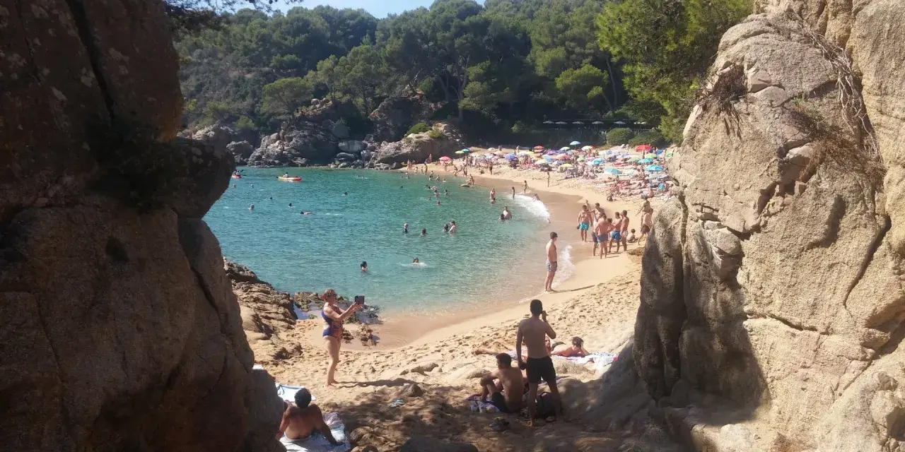 Gente disfrutando del sol y el mar en la platja de Treumal, con rocas y pinos en primer plano.