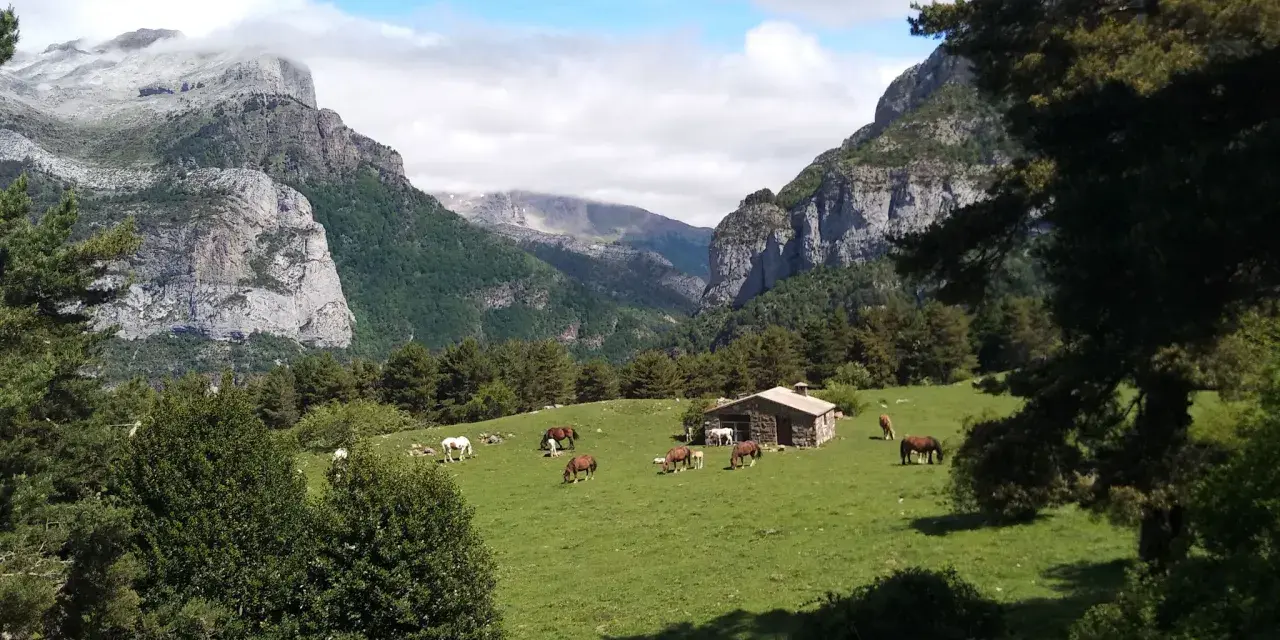 Caballos pastando en un prado verde con una cabaña de piedra y montañas nevadas al fondo, un paisaje típico de los **Aragüés del Puerto**.