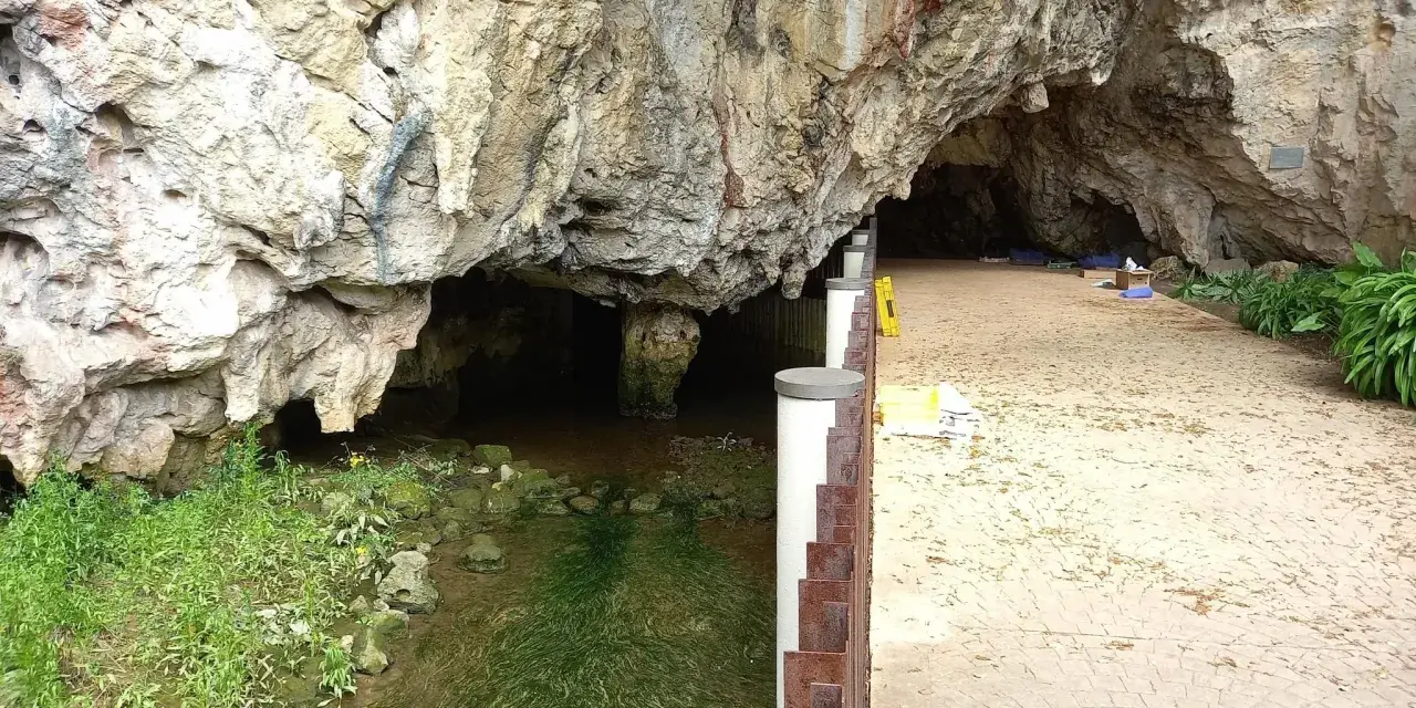 Entrada a una cueva con un arroyo y vegetación. Un camino pavimentado invita a explorar qué ver en Ribadesella.