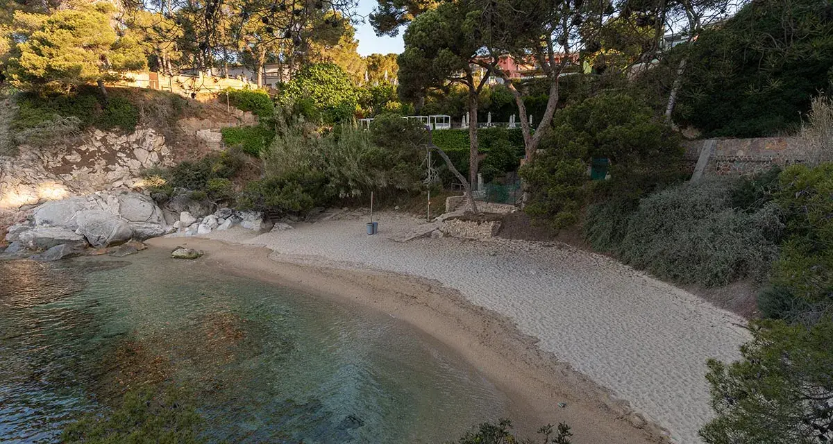 Tranquila cala del pi con arena dorada y aguas cristalinas, rodeada de pinos y vegetación exuberante.