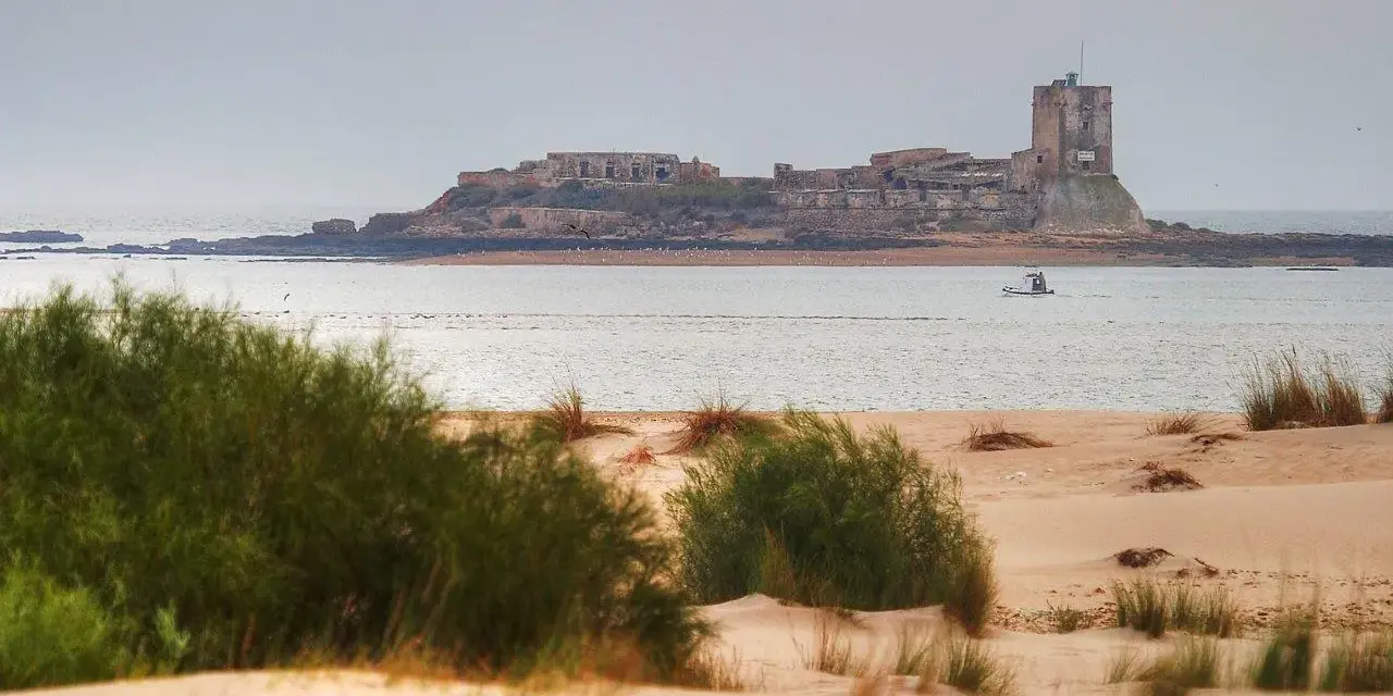 Ruinas de Sancti Petri que ver: castillo en isla rocosa, mar y dunas con vegetación. Un barco navega cerca.