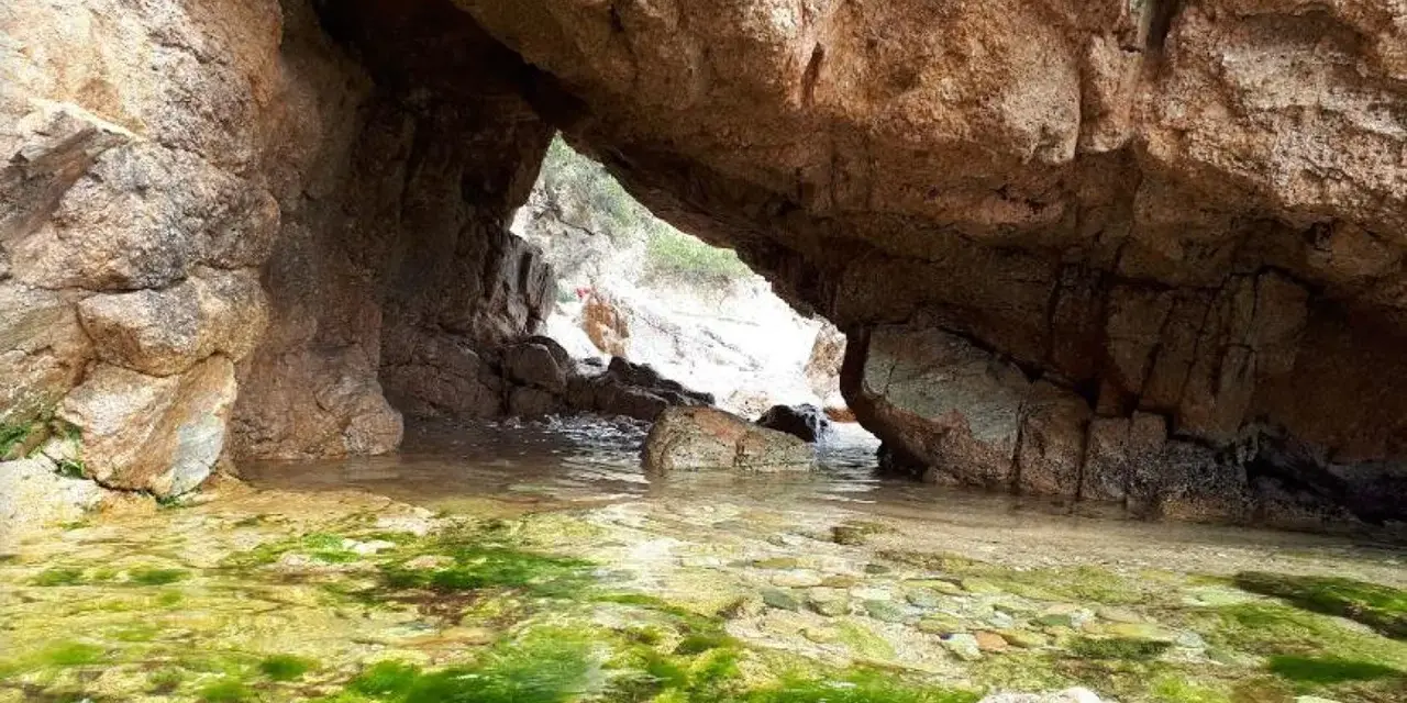 Entrada a la cala del crit, con rocas y algas verdes en el agua cristalina.
