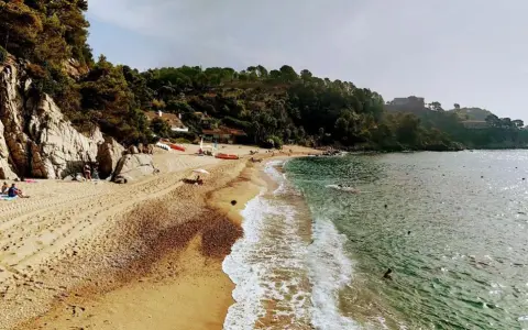 Playa de Santa Maria de Llorell con rocas, pinos y gente disfrutando del sol y el mar.