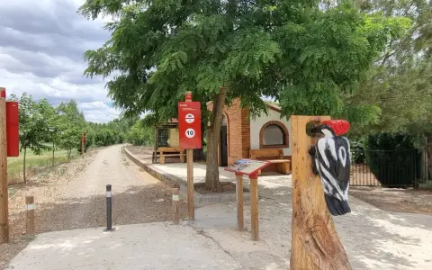 Escultura de pájaro carpintero en la ruta de Ferreruela de Huerva. Señalización informativa y camino de tierra.