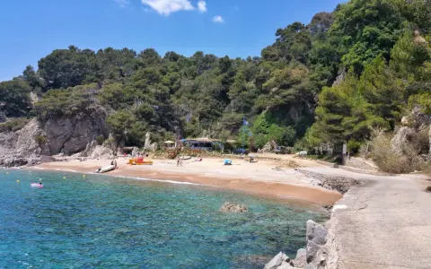 Aguas cristalinas y arena dorada en Cala d'en Carlos, con un chiringuito y pinos frondosos.