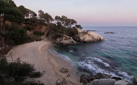 Tranquila cala pi en la Costa Brava, con arena dorada, aguas cristalinas y pinos que bordean la costa rocosa.