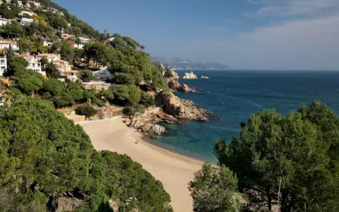 La cala de Sant Francesc, con sus aguas turquesas y arena dorada, se asoma entre pinos y casas blancas en la ladera.