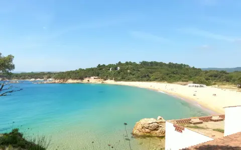 Vista panorámica de la platja de Castell, con aguas turquesas cristalinas y una playa de arena dorada bordeada de pinos.
