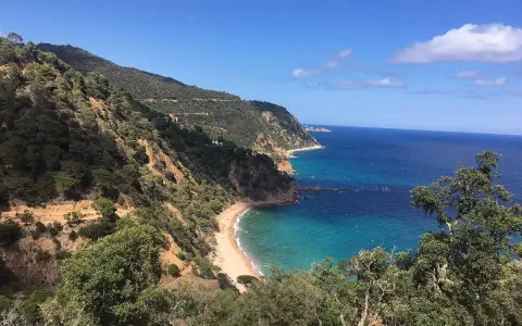 Vista panorámica de la cala del senyor ramon, con aguas turquesas y vegetación exuberante en las laderas.