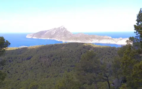 Vista desde el mirador Sant Elm: mar azul intenso, una isla montañosa y un bosque frondoso.