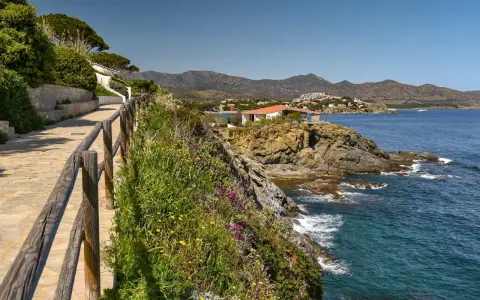 Un sendero de piedra bordea la costa, con flores silvestres y un mar azul. El cami de ronda costa brava ofrece vistas espectaculares.