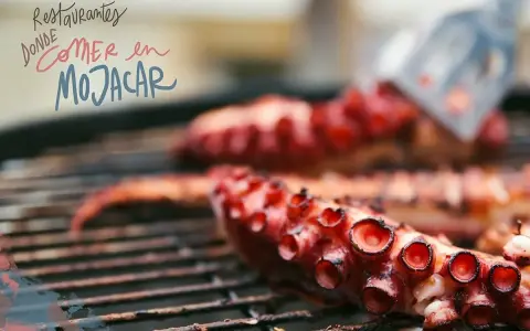 Pulpo a la parrilla, ideal para descubrir dónde comer en Mojácar. ¡Una delicia que no te puedes perder!
