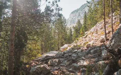 Sendero rocoso entre pinos, con una marca roja en una roca que indica el ibón de Plan.