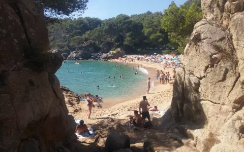 Gente disfrutando del sol y el mar en la platja de Treumal, con rocas y pinos en primer plano.