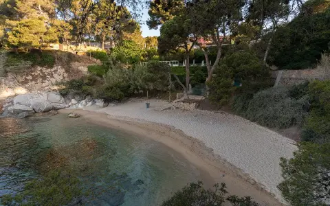 Tranquila cala del pi con arena dorada y aguas cristalinas, rodeada de pinos y vegetación exuberante.