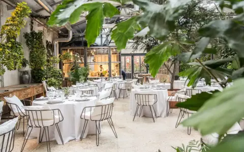 Mesas elegantemente puestas en un invernadero con vegetación exuberante. Un lugar ideal para saber donde comer en Madrid.