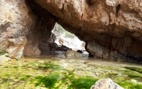 Entrada a la cala del crit, con rocas y algas verdes en el agua cristalina.