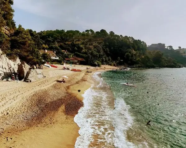 Playa de Santa Maria de Llorell con rocas, pinos y gente disfrutando del sol y el mar.