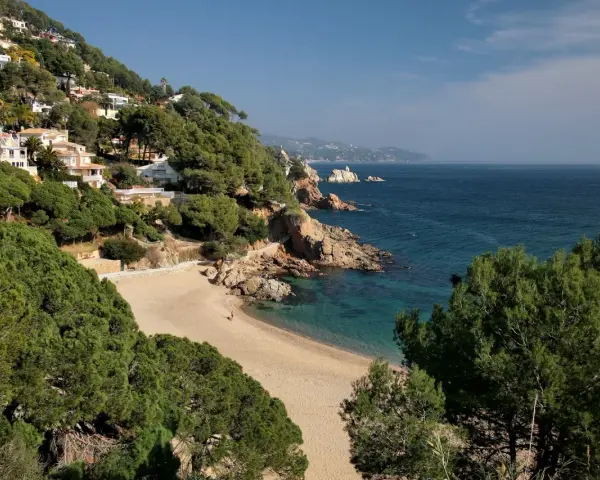La cala de Sant Francesc, con sus aguas turquesas y arena dorada, se asoma entre pinos y casas blancas en la ladera.