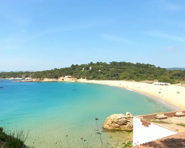 Vista panorámica de la platja de Castell, con aguas turquesas cristalinas y una playa de arena dorada bordeada de pinos.