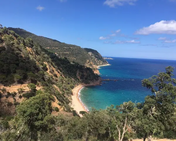 Vista panorámica de la cala del senyor ramon, con aguas turquesas y vegetación exuberante en las laderas.
