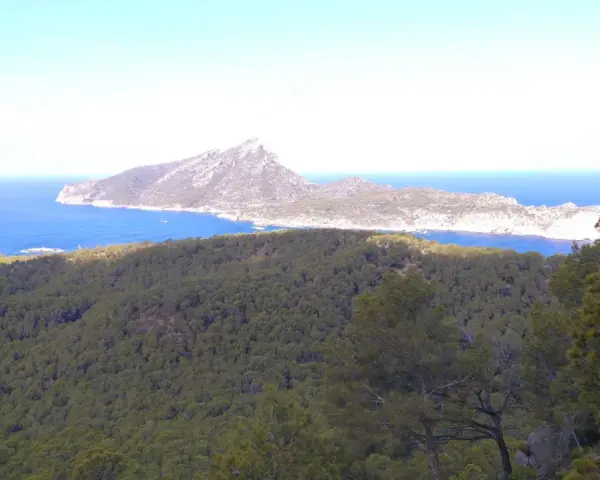Vista desde el mirador Sant Elm: mar azul intenso, una isla montañosa y un bosque frondoso.