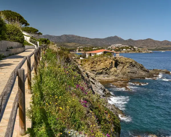 Un sendero de piedra bordea la costa, con flores silvestres y un mar azul. El cami de ronda costa brava ofrece vistas espectaculares.