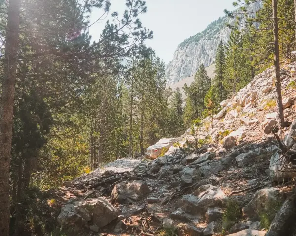 Sendero rocoso entre pinos, con una marca roja en una roca que indica el ibón de Plan.