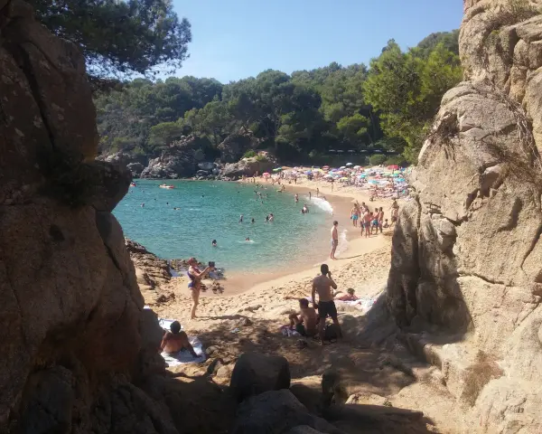 Gente disfrutando del sol y el mar en la platja de Treumal, con rocas y pinos en primer plano.