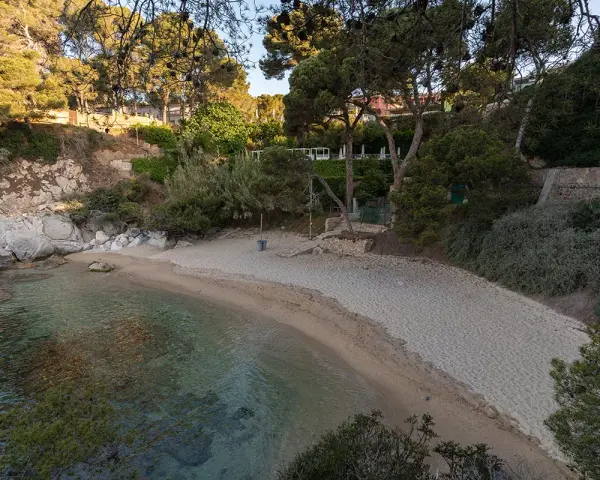 Tranquila cala del pi con arena dorada y aguas cristalinas, rodeada de pinos y vegetación exuberante.
