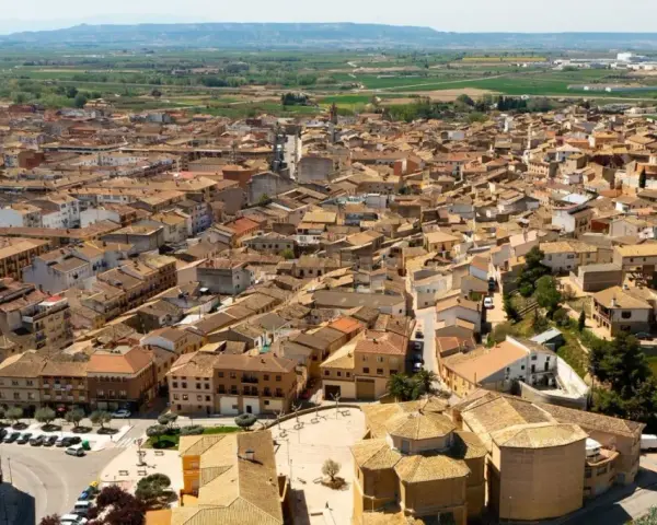 Vista aérea de un pueblo español con tejados de teja, donde se alza la torre de una iglesia. La **ejea de los caballeros** se extiende hasta el horizonte.