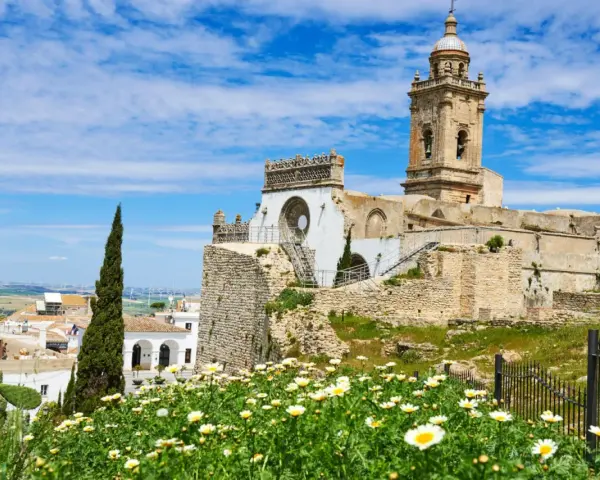 Descubre qué ver en Medina Sidonia: ruinas de un castillo, una iglesia con torre campanario y un campo de margaritas bajo un cielo azul.