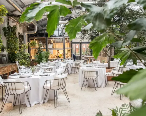 Mesas elegantemente puestas en un invernadero con vegetación exuberante. Un lugar ideal para saber donde comer en Madrid.